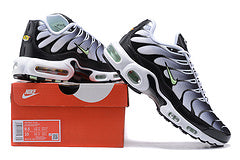 Air Max PLUS TN 1