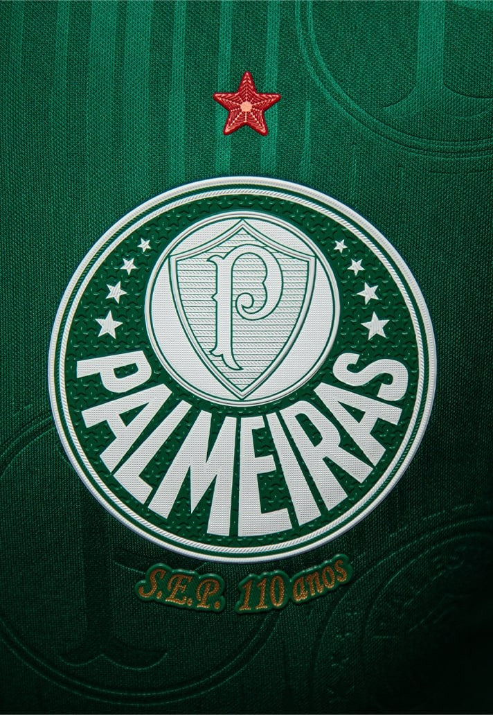 Camisa Palmeiras  24/25 - Puma lançamento Torcedor - Masculina