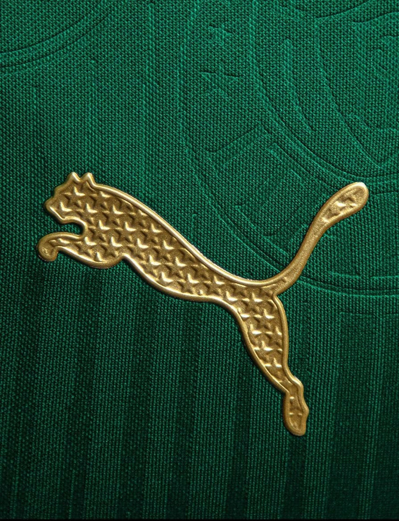 Camisa Palmeiras  24/25 - Puma lançamento Torcedor - Masculina