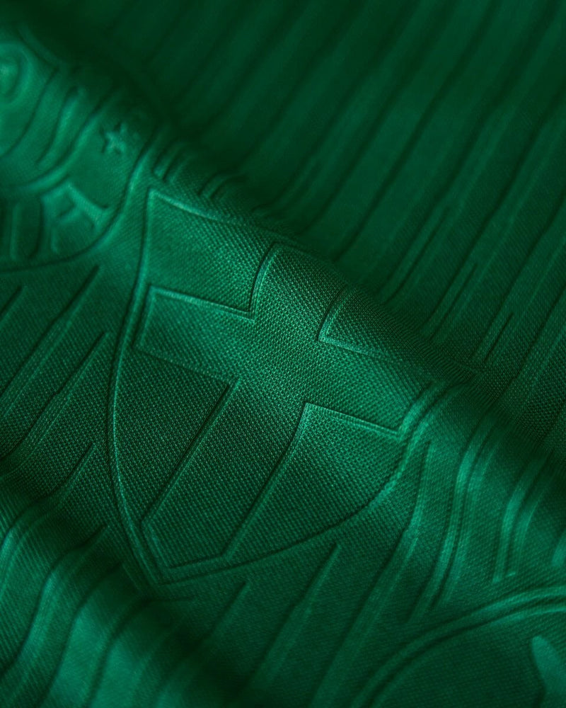 Camisa Palmeiras  24/25 - Puma lançamento Torcedor - Masculina